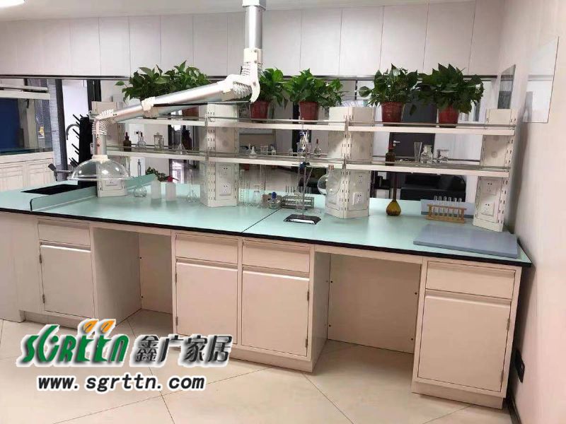 化驗室pp操作臺，實驗臺鋼木化學試驗桌，工作臺學校通風柜，全鋼試驗臺