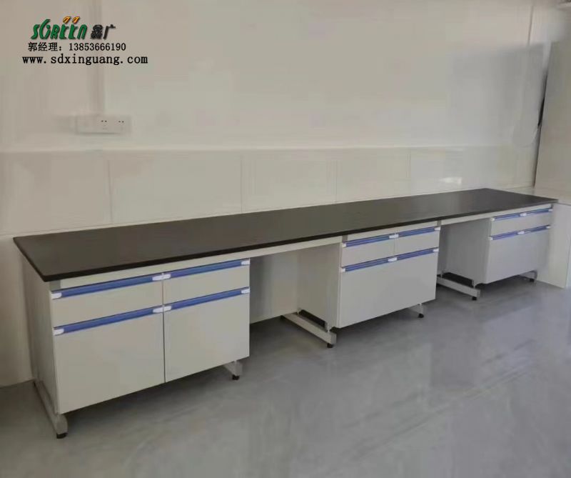 山東濰坊實(shí)驗室家具鋼木工作臺實(shí)驗臺定制