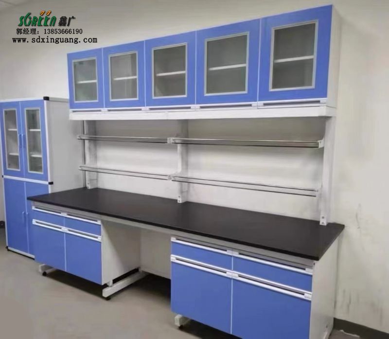 山東實(shí)驗室設備鋼木實(shí)驗室工作臺化學(xué)試驗臺