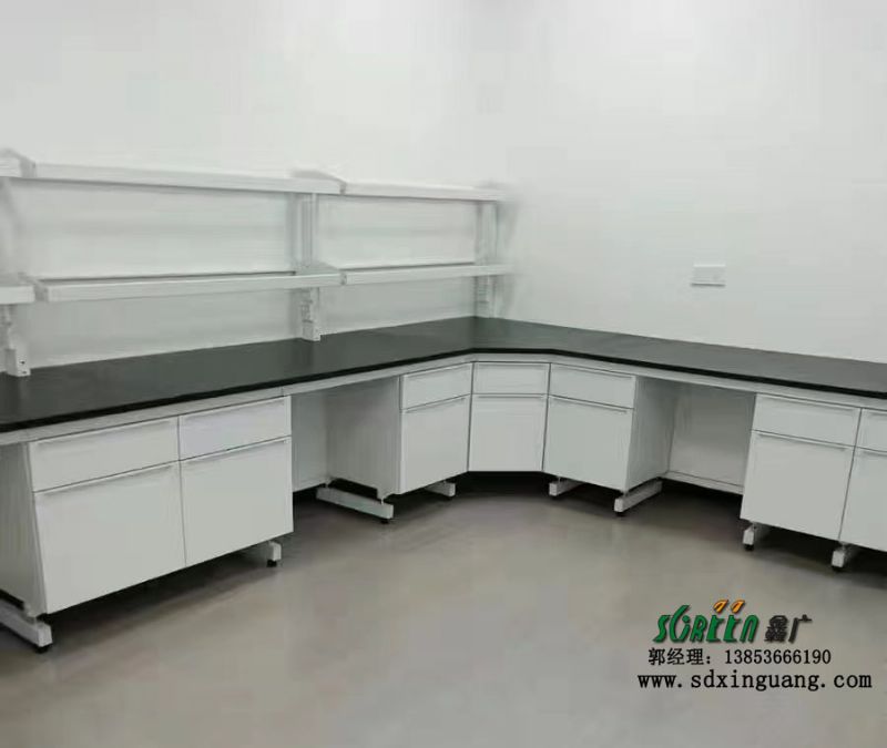山東實(shí)驗室設備鋼木實(shí)驗桌實(shí)驗室邊臺供應