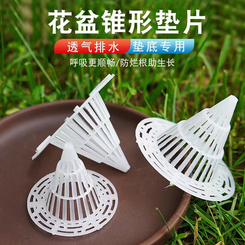 讀海子 讀書不僅是精進，也是自我透氣